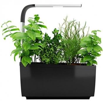 Tregren LED Huerto, Negro, T6 : 6 plantes