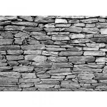 Liwwing FTVLPP-0172-350x245 - Vellón fotografía de fondo 350x245 cm - cima! premium plus fondo de pantalla! murales de papel tapiz mural xxl foto mural de la pared del papel pintado wanddeko pared de piedra de la pared de piedras de pared -. n ° 172