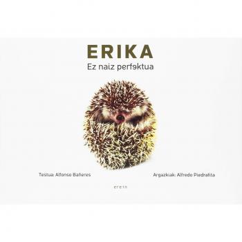 Erika, ez naiz perfektua