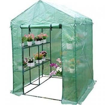 Viva Green 1257 _ 65425 Pétunia Invernadero Tomate plástico Verde 2,04 m² 1,43 x 1,43 x 1,95 m