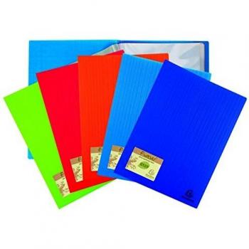 Exacompta 882570E - Lote de 20 carpetas de 20 fundas, A4, multicolor
