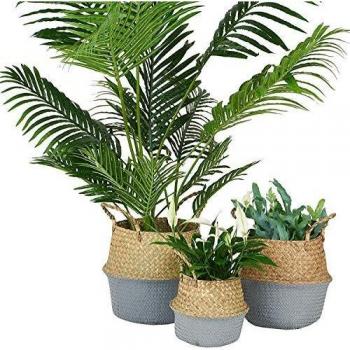 Natural Cesta de Junco Marino Tejido de Barriga, goodchanceuk 3pcs/Set lavandería Cesta Soporte Maceta Home Garden 3 tamaños 7.09x 8.07/x 9.25 caña/10.24x 12.6 Gris Oscuro botón