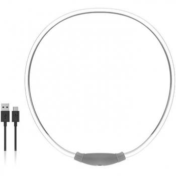 Collar LED para Mascotas Petlux V0103458 InnovaGoods