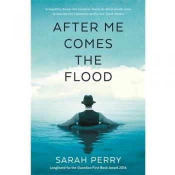 After Me Comes the Flood