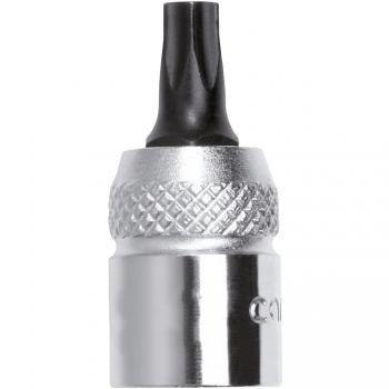 Carolus 4173.40 - Vaso destornillador 1/4 TORX interior TXB40