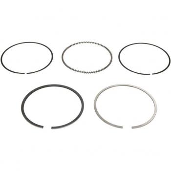 Juego de segmentos y aros de pistón GOETZE 08-442300-10, incluye segmentos de alta calidad para un sellado óptimo, fabricados con materiales resistentes al desgaste, diseño específico para motores, fácil instalación y compatibilidad
