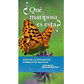 Qué Mariposa Es Esta?