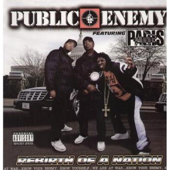 Rebirth of a nation vinilo