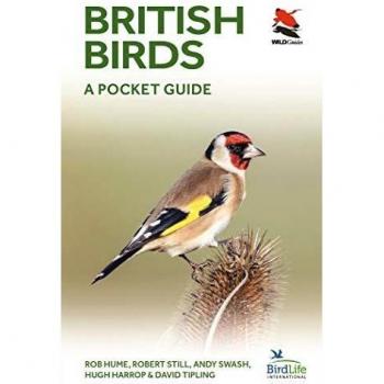 British Birds: A Pocket Guide