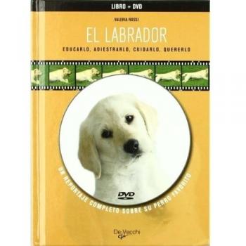El labrador