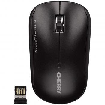 Cherry JW-T0200 Ratón inalámbrico USB gris antracita