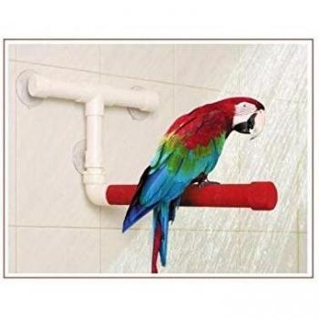 Sun Parrots - Percha Sundy Perch Shower Fun Medium
