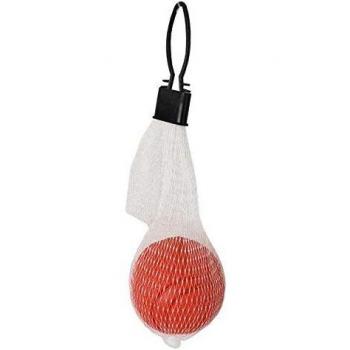 TODOPETS Ok Pelota de Goma Maciza 5 cm para Perro