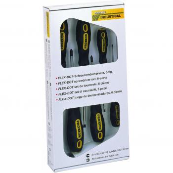 Proxxon PR22604 - Set de destornilladores Flex-Dot 6 unidades Proxxon
