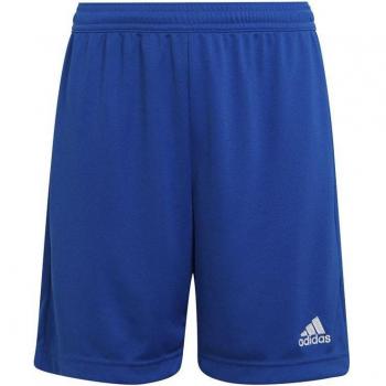Adidas Pantalones Cortos Entrada 22 Azul Niño