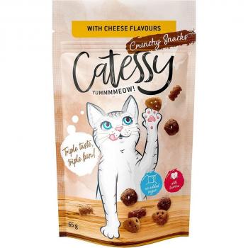 Catessy Crunchy Snacks for Cats - Cheese Flavor - Economy Pack 15 x 65g