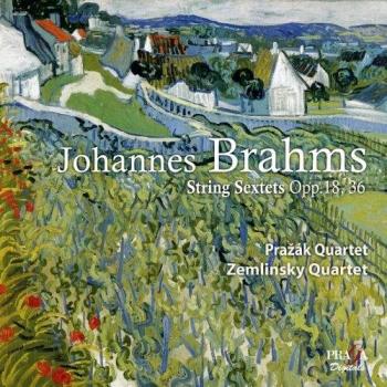 Sextuors A Cordes Op.18 & Op.36