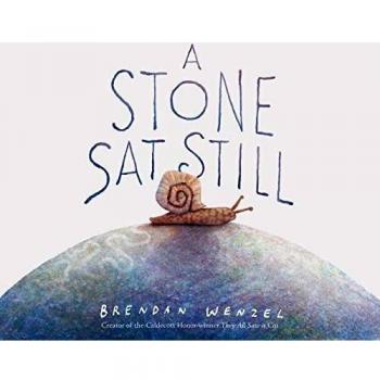 A Stone Sat Still