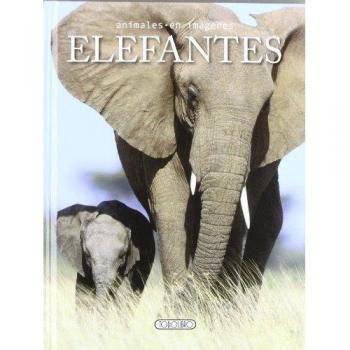 Elefantes