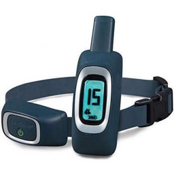 PetSafe Collar Remoto de Adiestramiento Perros 900 m Correa Mascotas Animales