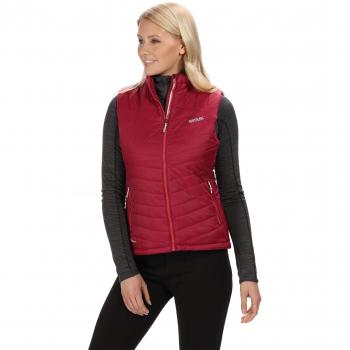 Regatta Freezeway - Chaleco ligero repelente al agua para mujer, Mujer, Calentadores de cuerpo, RWB095 47W20L, morado, 48