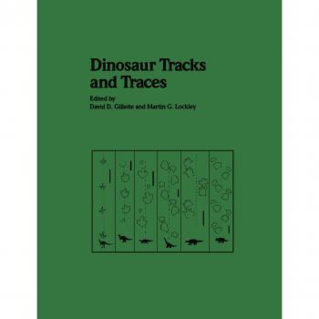 Huellas y Rastros de Dinosaurios - Libro de Actividades Educativas