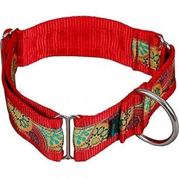 Arppe 196184040560 Collar Nylon Educativo Babel