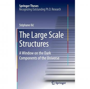 The Large Scale Structures: A Window on the Dark Components of the Universe