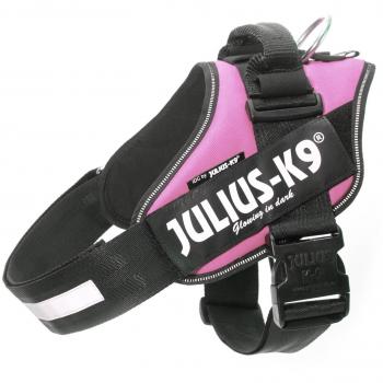 JULIUS-K9 16IDC Power Harness