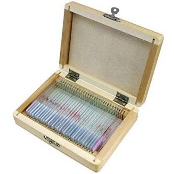 BCrown 25 muestras de para microscopio - MIX B