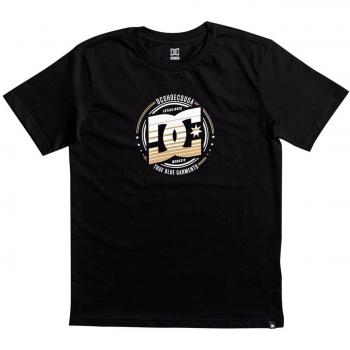 Camiseta Niño Dc Heraldry Negro