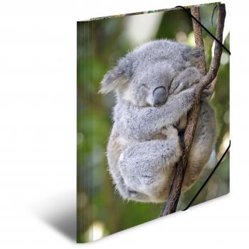 Carpeta Esquinera HERMA Koala, PP Brillo, A3, 1 Unidad