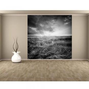 Bilderdepot24 Autoadhesivo Fotomural Campo verde - Negro Blanco 100x100 cm - papel pintado - Fototapete - la fabricación made in Germany!