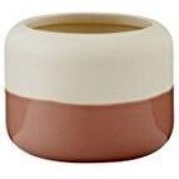 RIG-TIG Plant de IT Maceta de Flores Misty Rose, Color Rosa