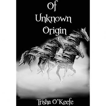 Of Unknown Origin (Questmyre, Volumen 1) - Novela de Fantasía Épica con Misterio y Aventura