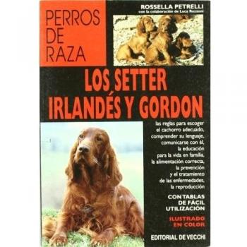 Los setter irlandés y gordon