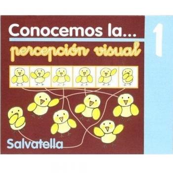 Conocemos percepción visual 1