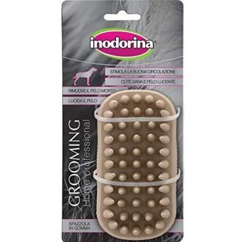 Cepillo de Goma Profesional para Grooming en Casa Inodorina
