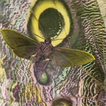 Mothmen - Pay Attention - Rock Album Vinyl Record