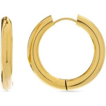 Pendientes Luxenter Amyck acabados en oro amarillo 18k con diseño elegante y moderno, elaborados en metal de alta calidad, ideales para ocasiones especiales o uso diario
