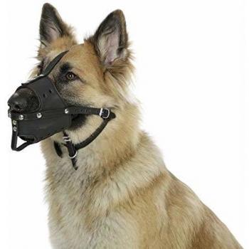 Muselina de Cuero para Perro XL Negra 36 cm x 9,5 cm