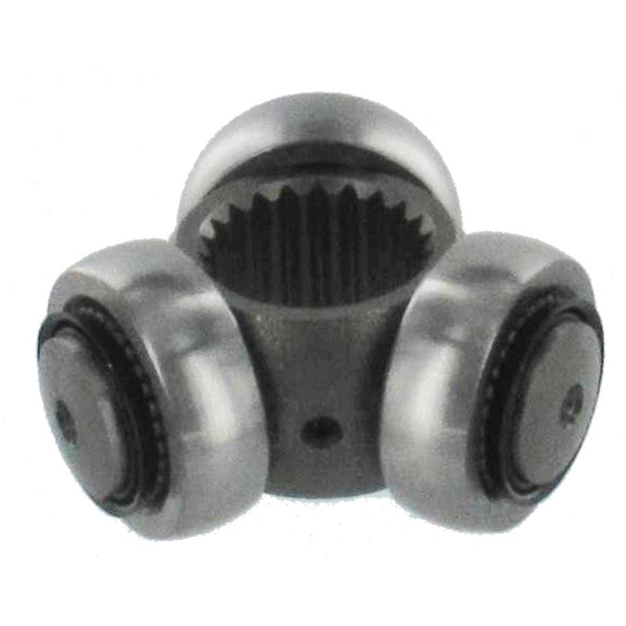 Imagen Principal