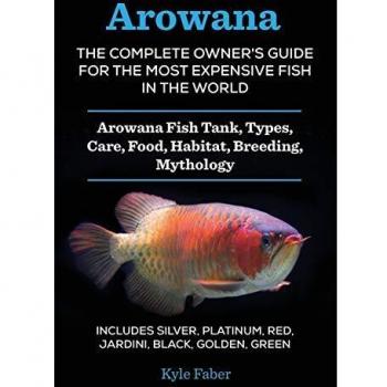 Guía Completa del Arowana: Acuario, Tipos, Cuidado, Alimento, Hábitat y Cría - Plata, Roja, Jardini, Negra, Dorada, Verde