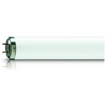 Philips 62886240 Lámpara