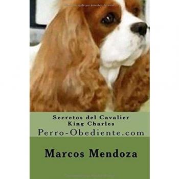 Secretos del Cavalier King Charles: Perro-Obediente.com
