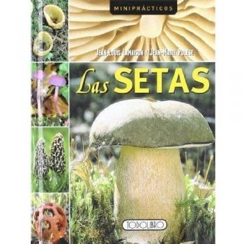 Las setas