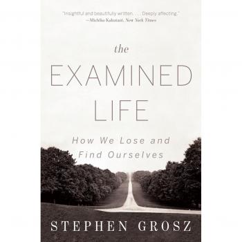 The Examined Life: How We Lose and Find Ourselves