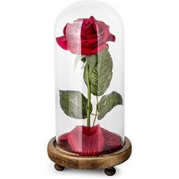 Kit de Rosas La Bella y la Bestia, Rosa de Seda roja y luz LED con pétalos caídos en la cúpula de Vidrio en la Base de Madera para la decoración del hogar Boda Cumpleaños Día de la Madre