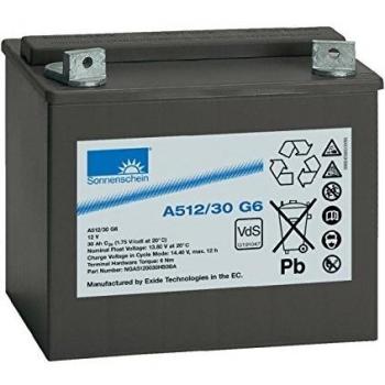 Exide - Sonnenschein batería de plomo Gel 12V 30Ah A512/30 G6 - A512/30G6
