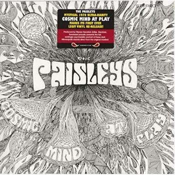 Cosmic mind at play vinyl